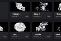 可以将森城市中的单数据做成数据集吗